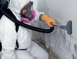 Professional Mold Remediation in Rogue River, OR